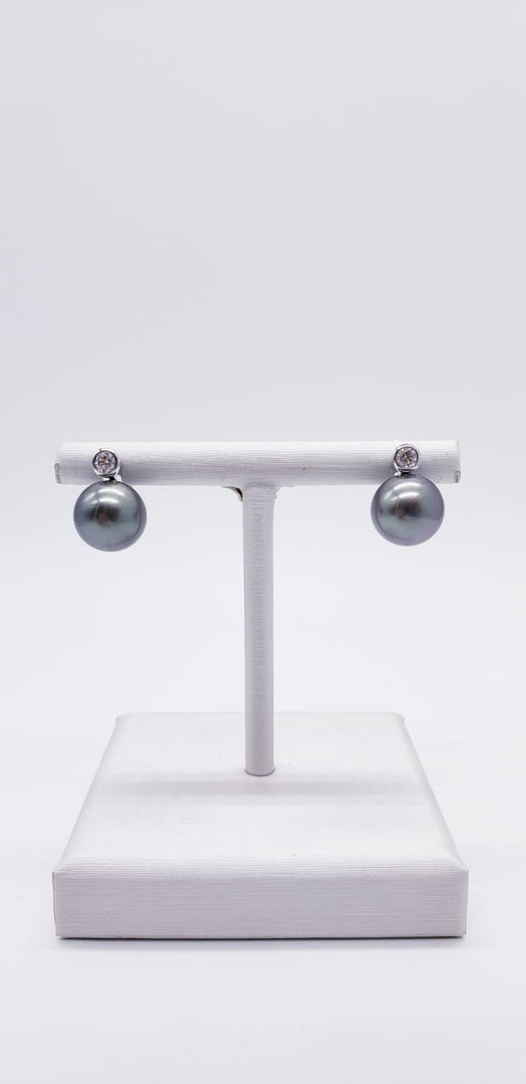 Breuning Earrings ( Pearls )